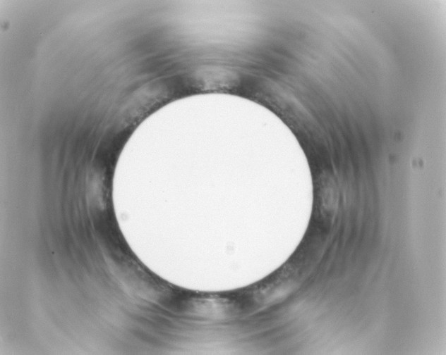 X0000088640316200706221552
