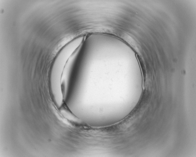 X0000088640389200706221551