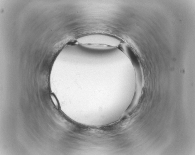 X0000088640393200706221551