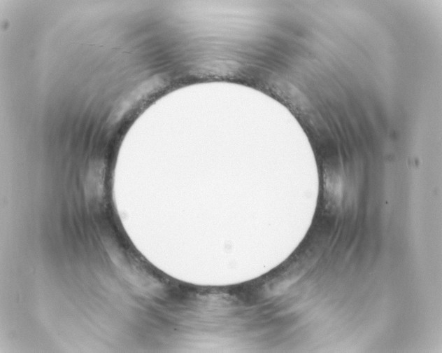 X0000088640396200706221551