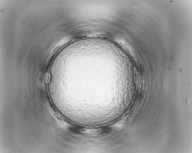 X0000088640405200706221551