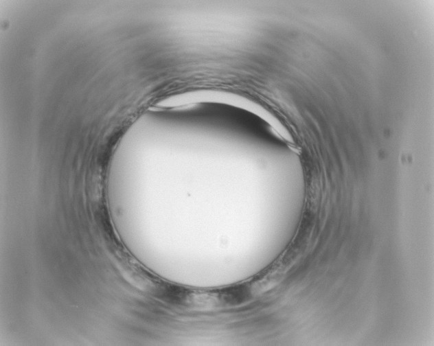 X0000088640413200706221550