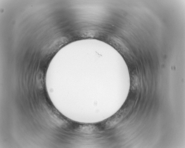 X0000088640414200706221550