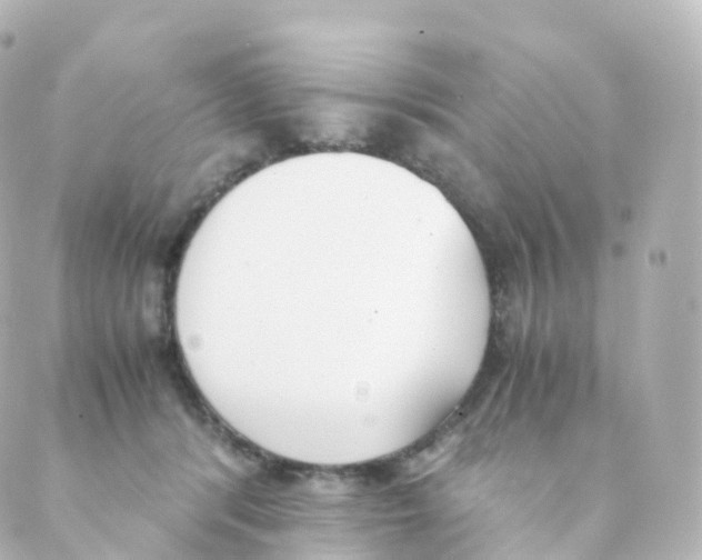 X0000088640416200706221550