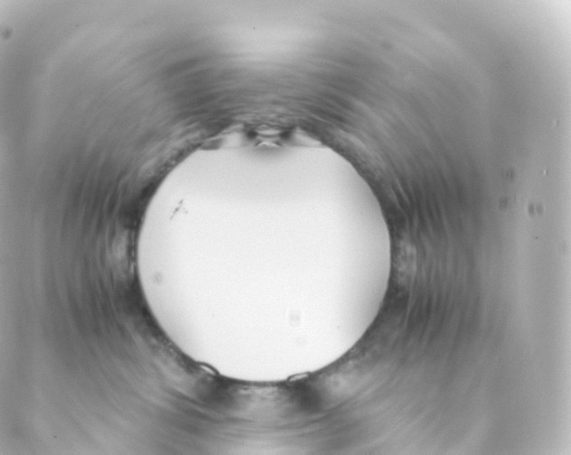 X0000088640428200706221550