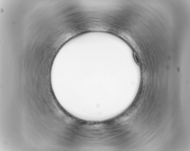 X0000088640433200706221549