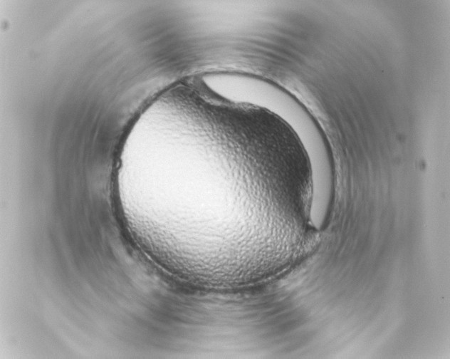 X0000088640434200706221549