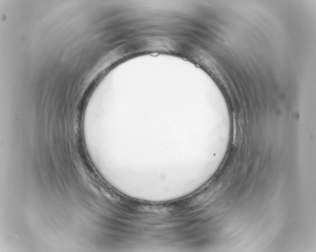 X0000088640435200706221549