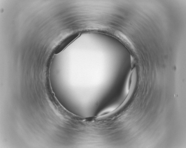 X0000088640436200706221549