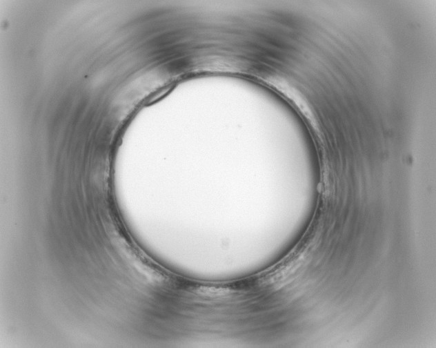 X0000088640437200706221549