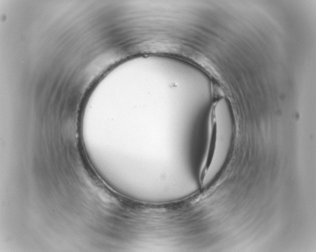 X0000088640438200706221549