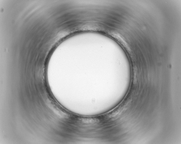 X0000088640439200706221549