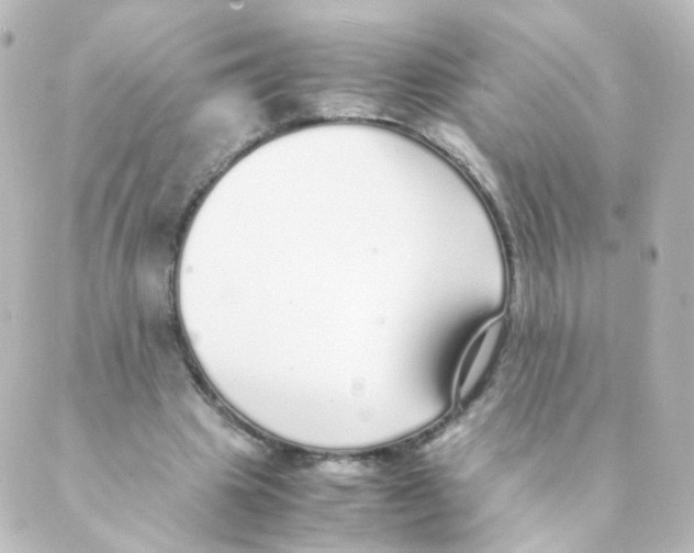 X0000088640441200706221549