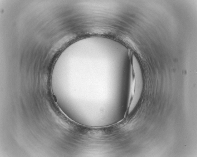 X0000088640444200706221550