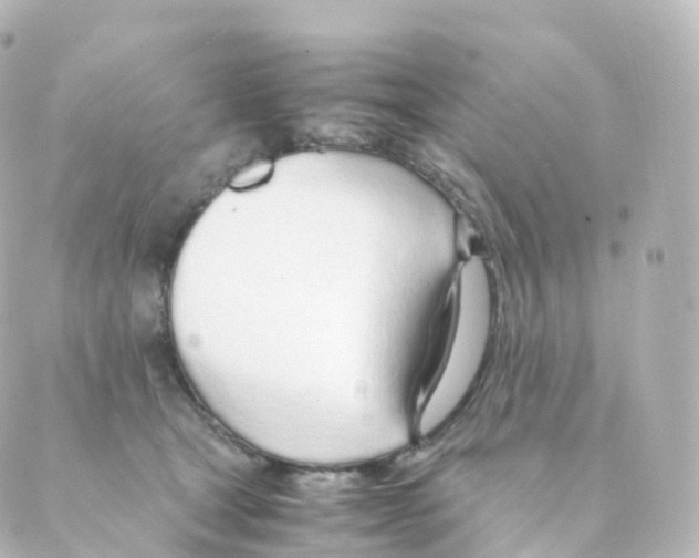 X0000088640465200706221550