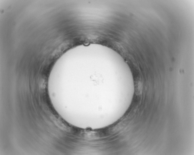 X0000088640472200706221550