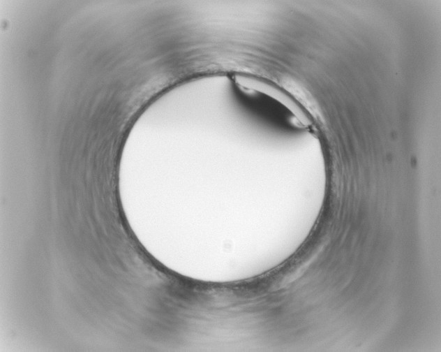 X0000088640481200706221549