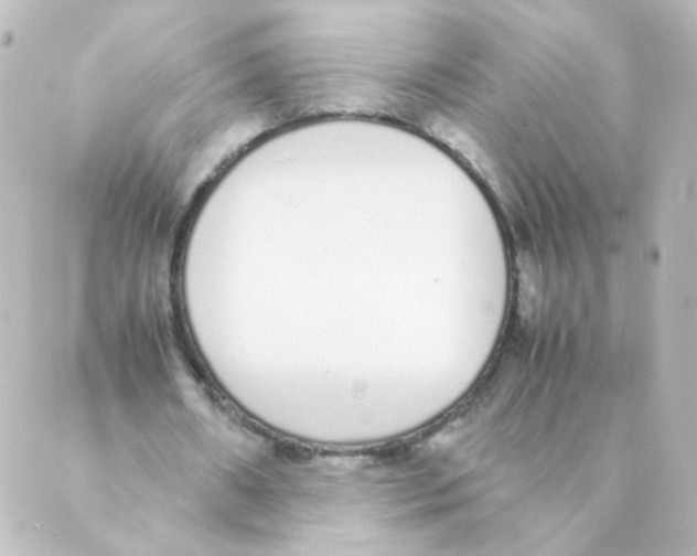 X0000088640482200706221549