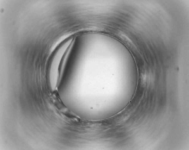 X0000088640484200706221549