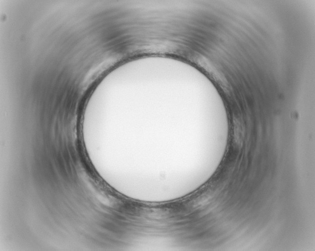 X0000088640486200706221549