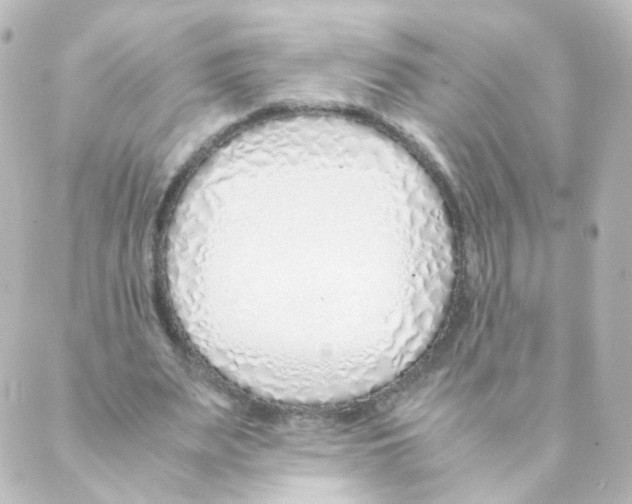 X0000088640487200706221549