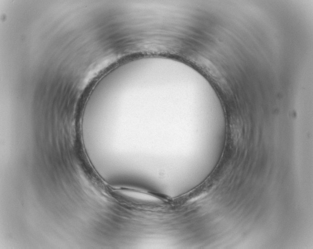 X0000088640488200706221549