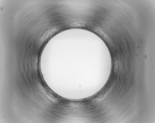 X0000088640490200706221549