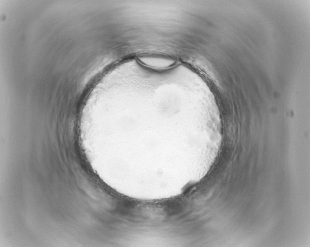 X0000088640491200706221549