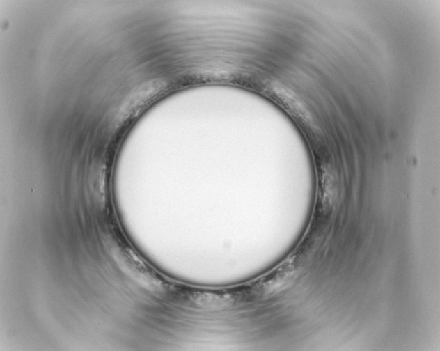 X0000088640494200706221549