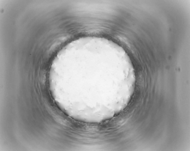 X0000088640495200706221549