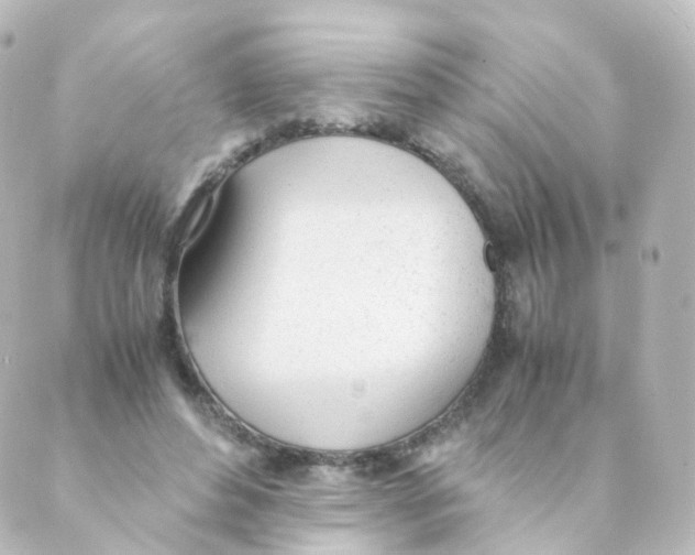 X0000088640496200706221549