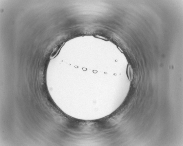 X0000088640497200706221549