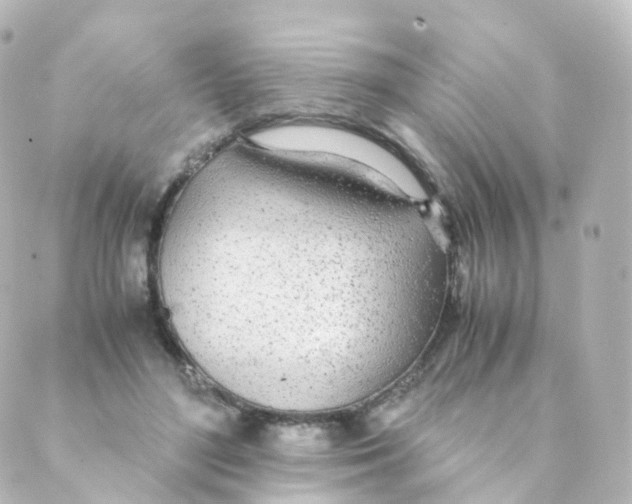 X0000088640500200706221549