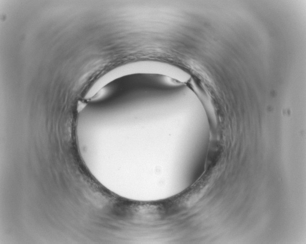 X0000088640501200706221549