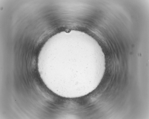 X0000088640502200706221549