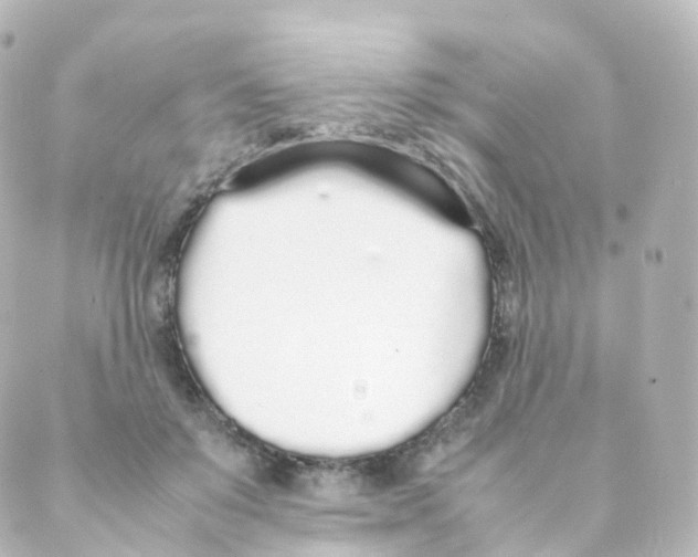 X0000088640503200706221549