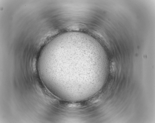 X0000088640504200706221549