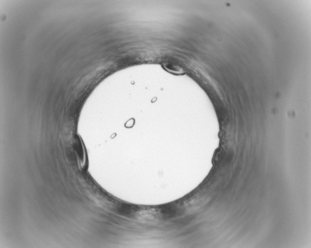 X0000088640505200706221549