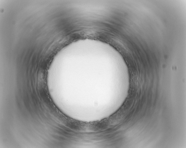 X0000088640506200706221549