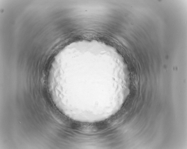 X0000088640507200706221549