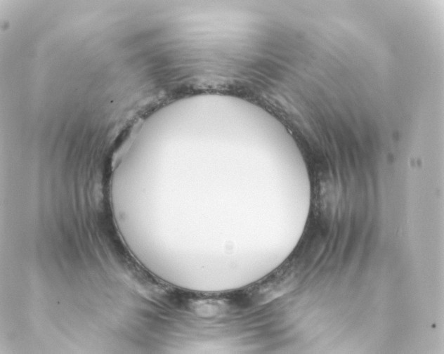 X0000088640508200706221549