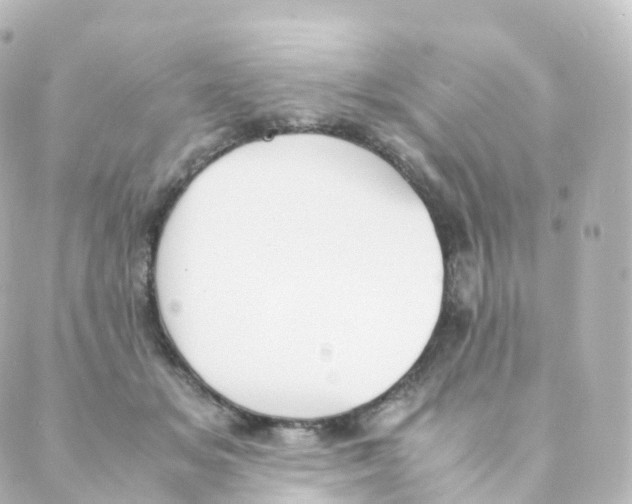 X0000088640509200706221549