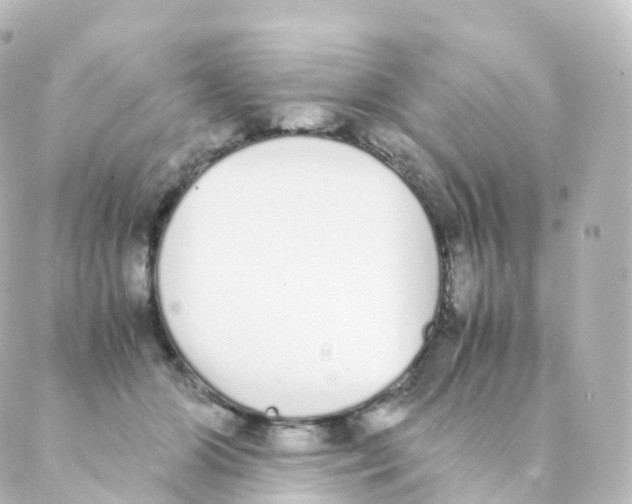 X0000088640510200706221549