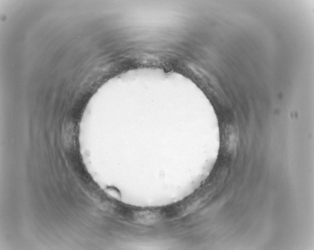 X0000088640511200706221549