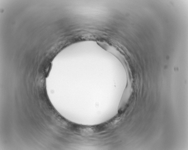 X0000088640513200706221549