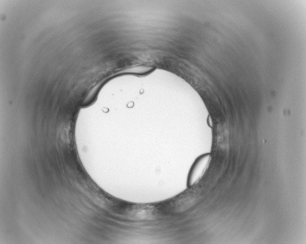 X0000088640514200706221549