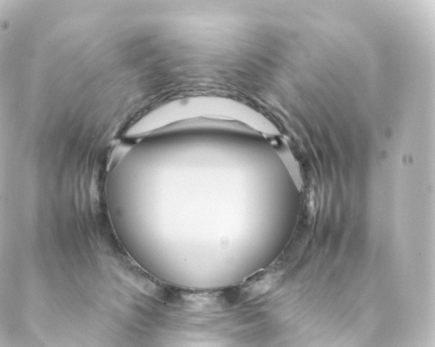 X0000088640516200706221549