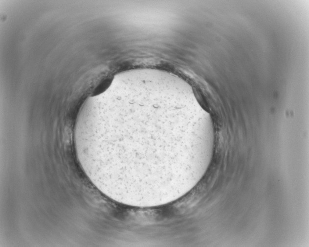 X0000088640517200706221549