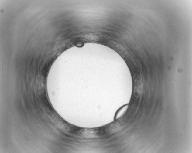 X0000088640518200706221549