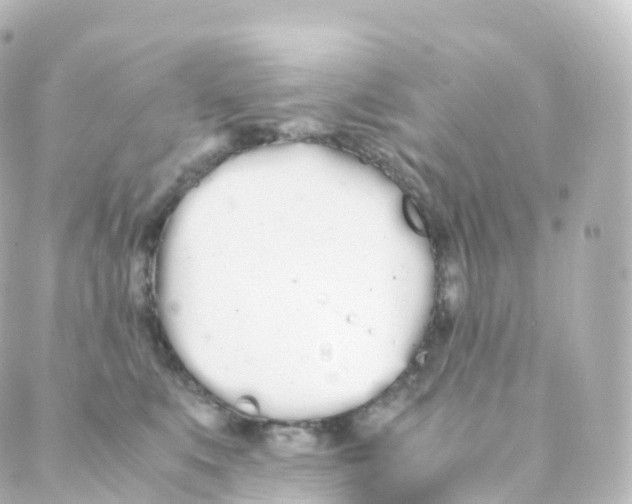 X0000088640519200706221549